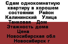 Сдам однокомнатную квартиру в хорошем состоянии › Район ­ Калининский › Улица ­ Танковая › Дом ­ 5 › Этажность дома ­ 5 › Цена ­ 11 000 - Новосибирская обл., Новосибирск г. Недвижимость » Квартиры аренда   . Новосибирская обл.,Новосибирск г.